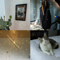 2Pcs 30Mm round Crystal Sun Catchers, Glass Prism Hanging Sun Catchers, Rainbow Maker for Window, Balcony, Garden Decorat